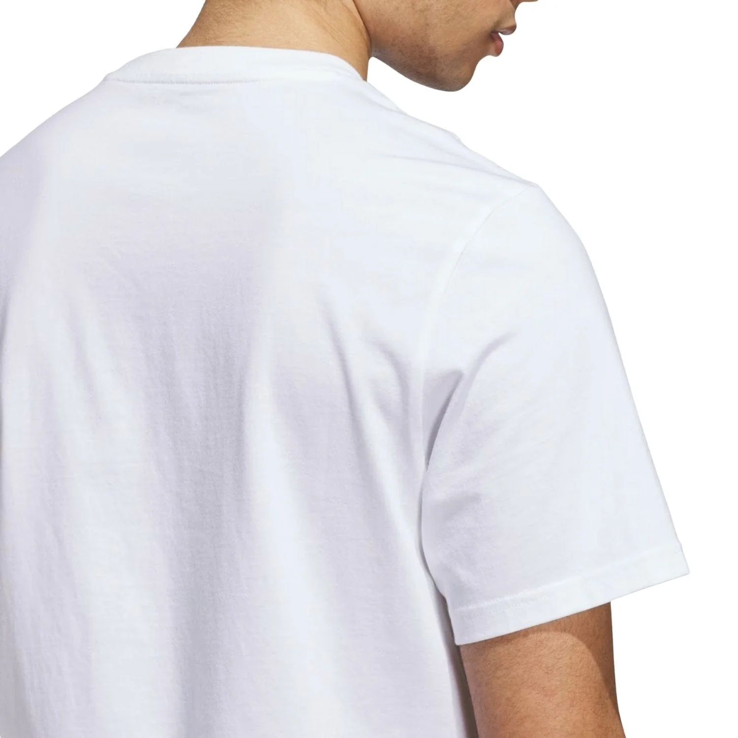 Adidas Skateboarding Shmoohaus T-Shirt | White - Image 5